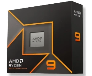AMD Ryzen 9 9900X 4,4 / 5,6 GHz