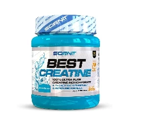 Scenit Creatina Micronizada