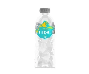 Ursu Agua Mineral Botella 0.5 L.